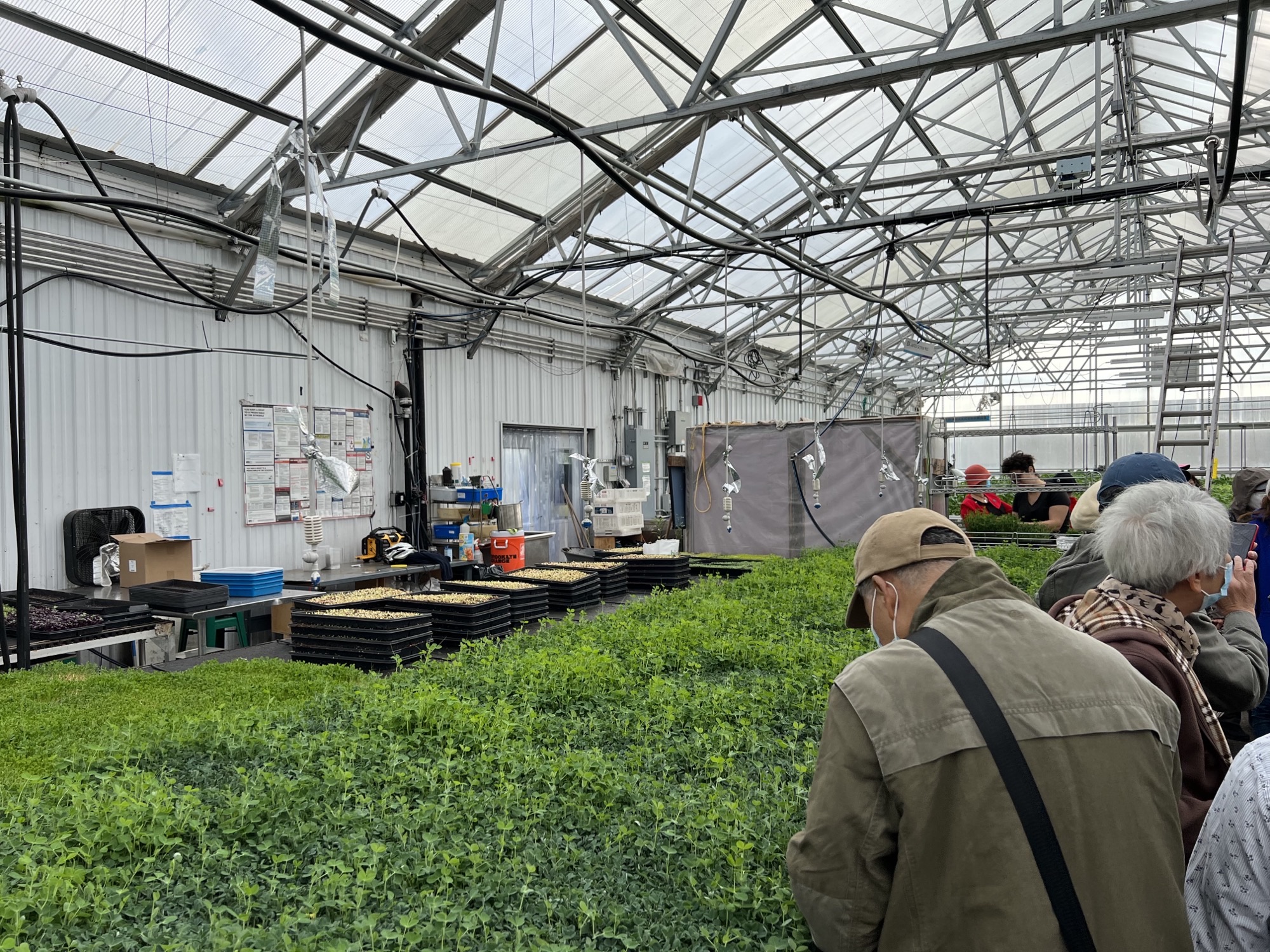 Geriatric Mental Health Initiative (GMHI) tours Brooklyn Grange